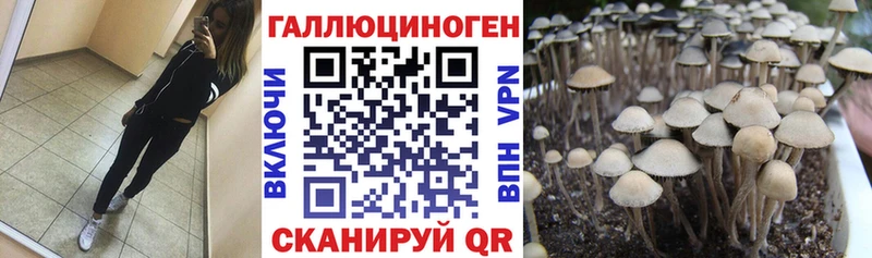 наркошоп  Муравленко  Галлюциногенные грибы Psilocybine cubensis 